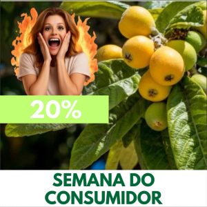 Nêspera - Eriobotrya japonica (folhas secas)