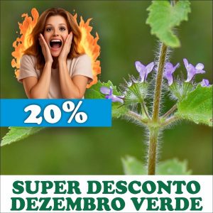 Hortelã do campo - Hyptis suaveolens (folhas secas)