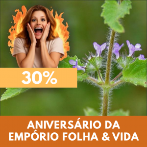 Hortelã do campo - Hyptis suaveolens (folhas secas)