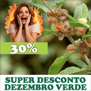 Ginseng indiano / Ashwagandha - Withania somnifera (raiz seca)