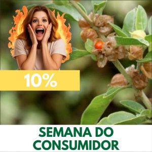 Ginseng indiano / Ashwagandha - Withania somnifera (raiz seca)