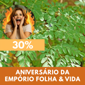 Moringa - Moringa oleifera (folhas secas)