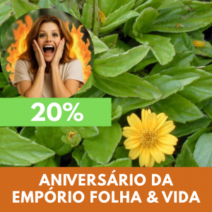 Picão-da-praia - Sphagneticola trilobata (folhas secas)